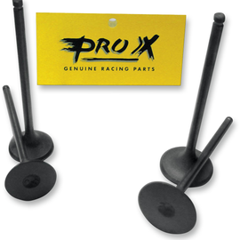 Exhaust Valve