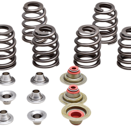 Valve Spring Kit - Beehive