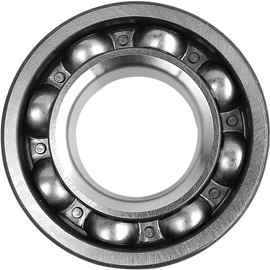 Crankshaft Bearing