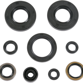 Motor Seals KX80-100/RM100