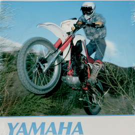 Manual - Yamaha XT125/250