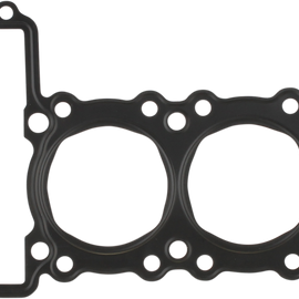 Head Gasket - EX250E/F