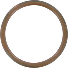 Exhaust Gasket