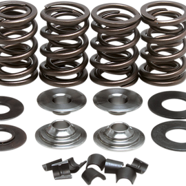 Valve Spring Kit