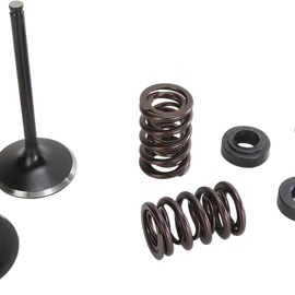 Valve and Spring Kit