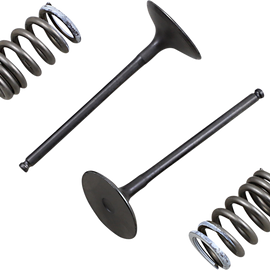 Intake Valve and Spring Kit