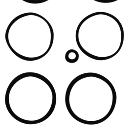 Caliper Seal Kit - Dressers/XL