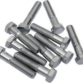 3/8"-16 X 2" Chrome Hex Head