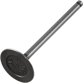 Intake Valve