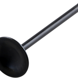 Intake Valve