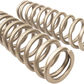 Rear Shock Springs - Silver