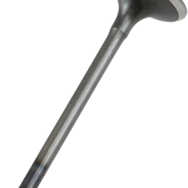 Exhaust Valve