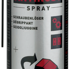 Anti-Rust Spray - 16.9 U.S. fl oz. - Aerosol