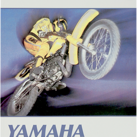 Manual - Yamaha YZ100-490 Monoshock