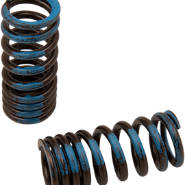 Intake Valve Springs