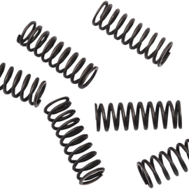 Clutch Springs