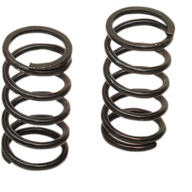 Clutch Springs