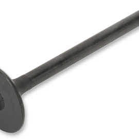 Exhaust Valve