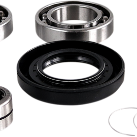 Differential Bearing/Seal Kit - Rear