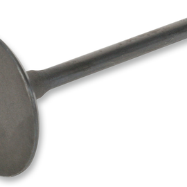 Intake Valve