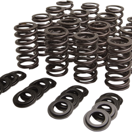 Valve Spring Kit