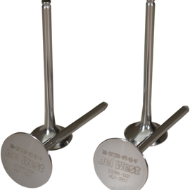 Exhaust Valve