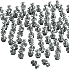 License Plate Bolts - 100PK