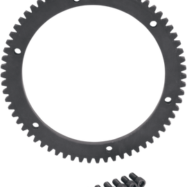 Starter Ring Gear 66 Tooth - Harley Davidson