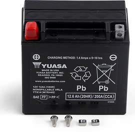 AGM Battery - YTX14