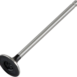 Exhaust Valve