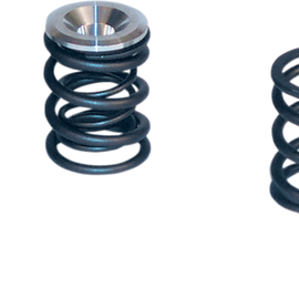 Valve Spring Kit - Big Twin