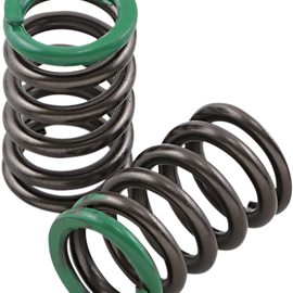 Intake Valve Springs