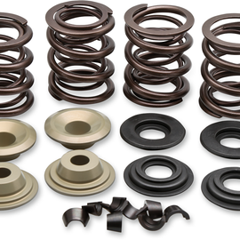 Valve Spring Kit8181701