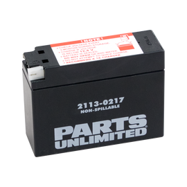 AGM Battery - YT4B-BS