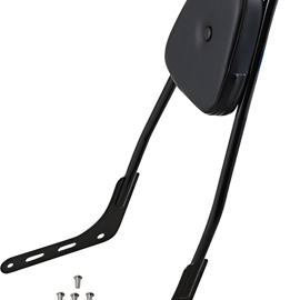 Skull Sissy Bar - Gloss Black - With Pad