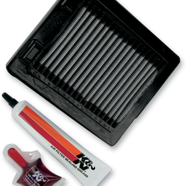 Air Filter - Yamaha TTR225