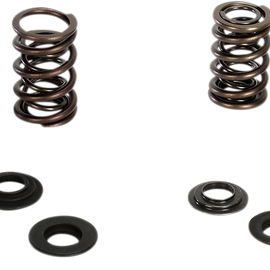 Valve Spring Kit