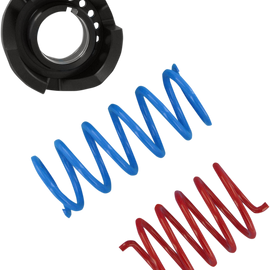 Trail Performance Clutch Kit