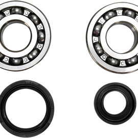 Crank Bearing and Seal Kit