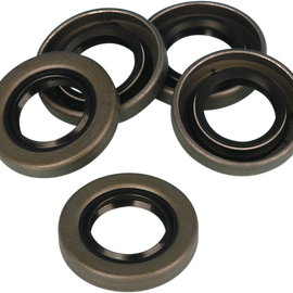 Generator Gear End Oil Seal