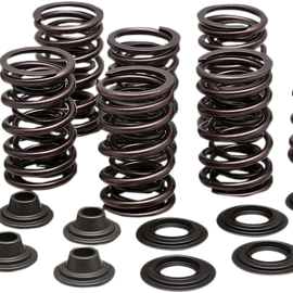 Valve Spring Kit