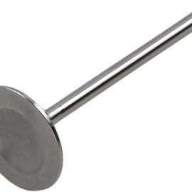 Intake Valve