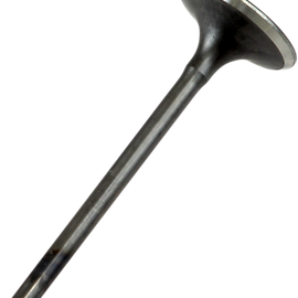 Exhaust Valve