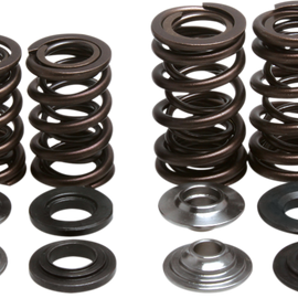 Valve Spring Kit