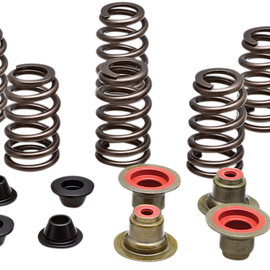 Valve Spring Kit