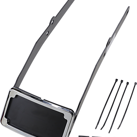 LP Plate Frame & Mount with Tag Light - FLSL - Chrome