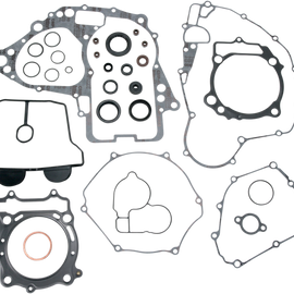 Motor Gasket Kit with Seal - RMZ450