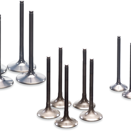 Exhaust Valve