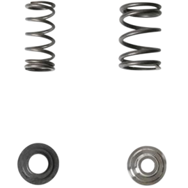 Valve Spring Kit