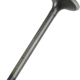 Exhaust Valve